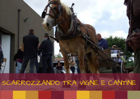 carrozza a cavallo